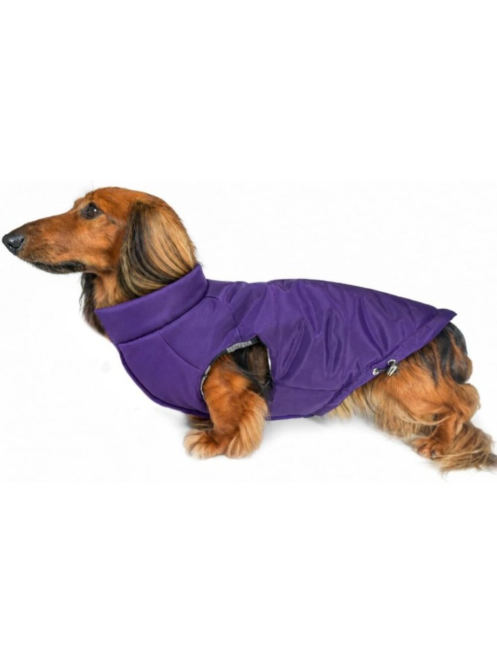 Reversible Medium Puffer Dog Coat & Warm Winter Jacket - Purple, Cozy & Stylish